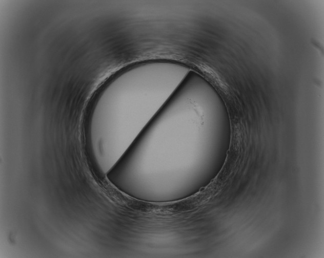 X0000093620680200710151041