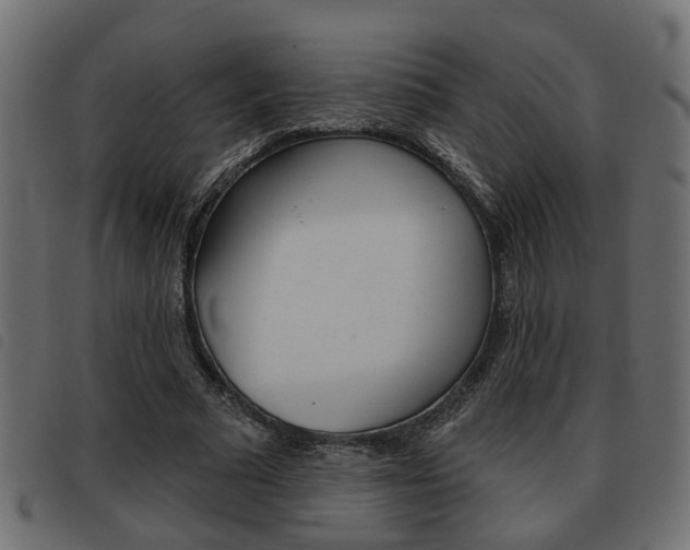 X0000093620681200710151041