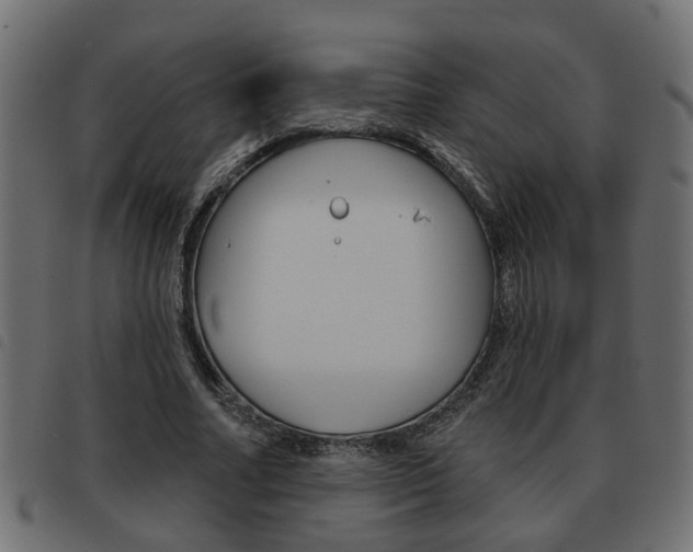 X0000093620682200710151041
