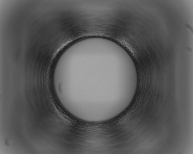 X0000093620684200710151041