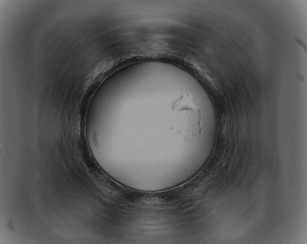 X0000093620685200710151041