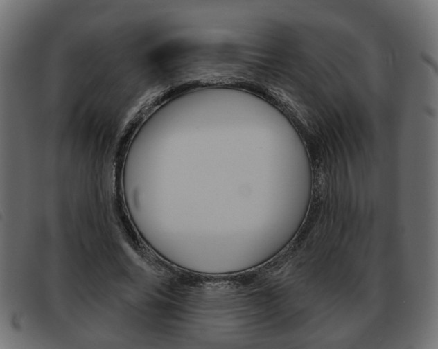 X0000093620686200710151041