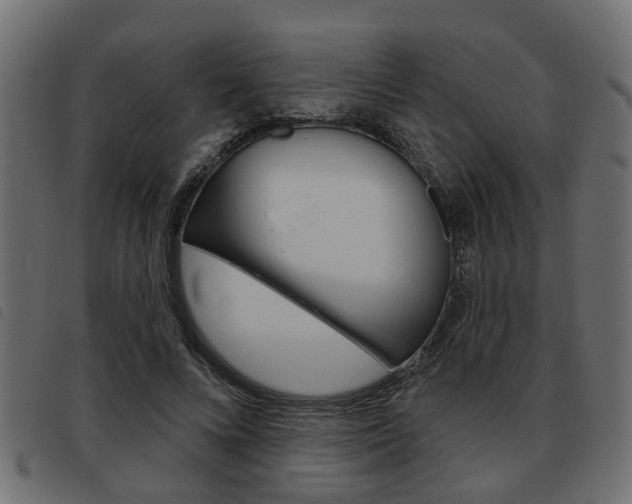 X0000093620688200710151041