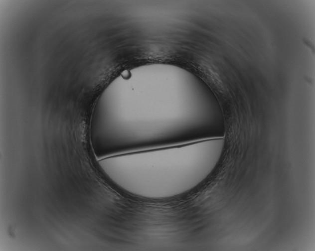 X0000093620689200710151041