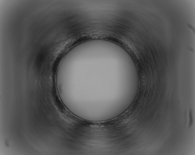 X0000093620690200710151041