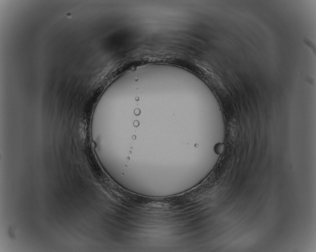 X0000093620691200710151041