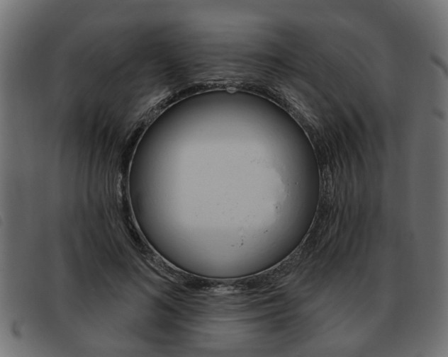 X0000093620692200710151041