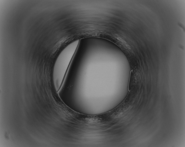 X0000093620693200710151041