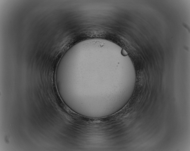 X0000093620695200710151041