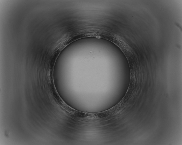 X0000093620696200710151041