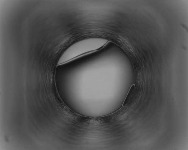 X0000093620697200710151041