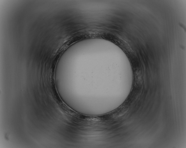 X0000093620698200710151041