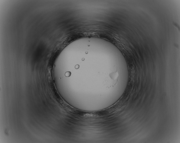 X0000093620699200710151041