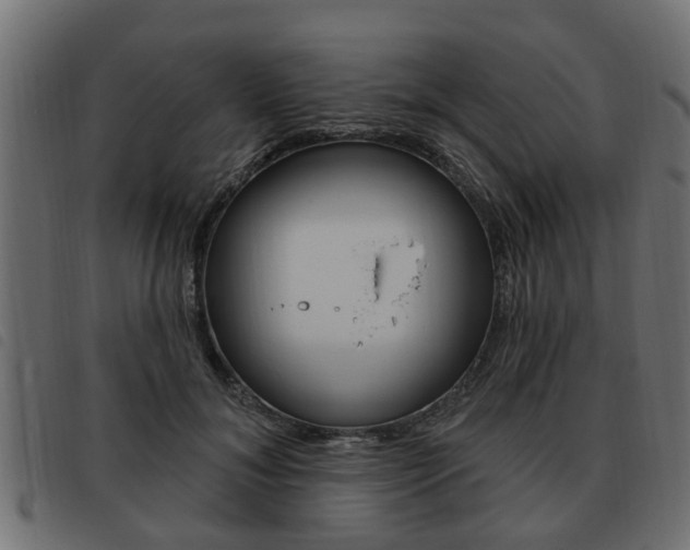 X0000093620700200710151040