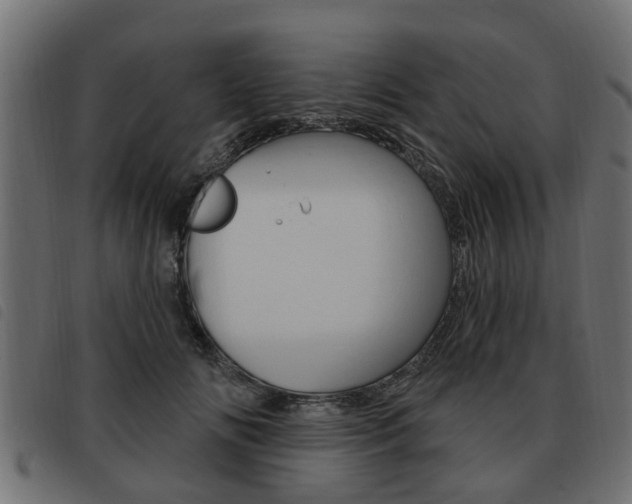 X0000093620702200710151040