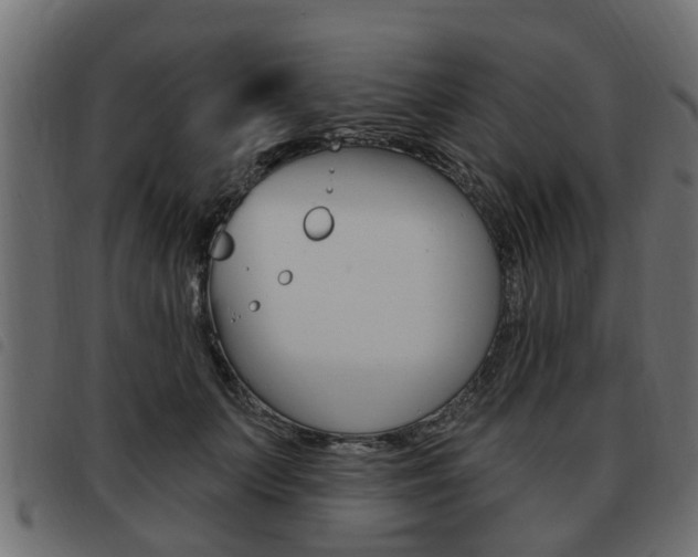 X0000093620703200710151040