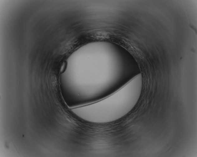 X0000093620704200710151040