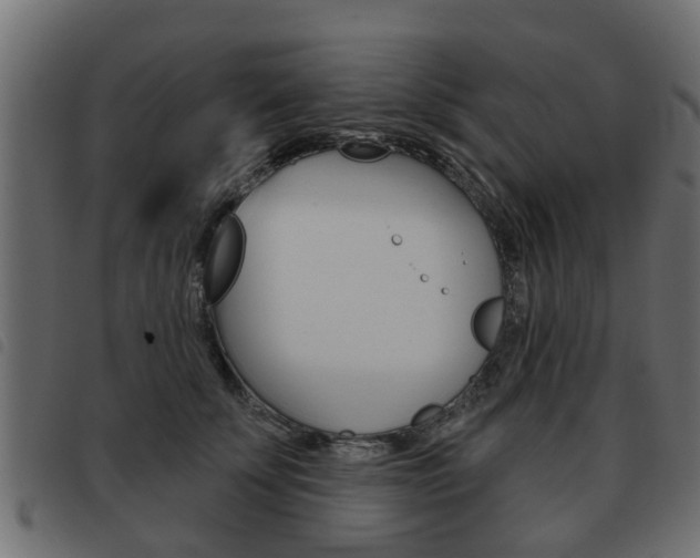 X0000093620707200710151040