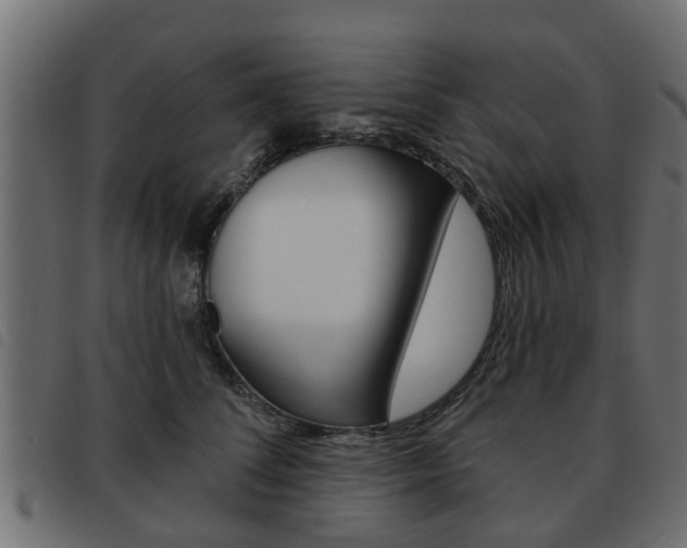X0000093620708200710151040