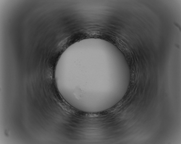 X0000093620710200710151040