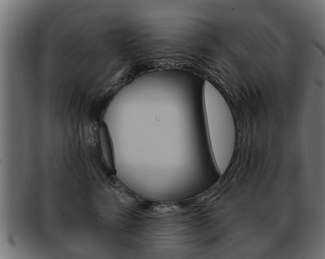 X0000093620712200710151040