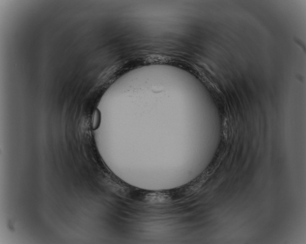 X0000093620714200710151040