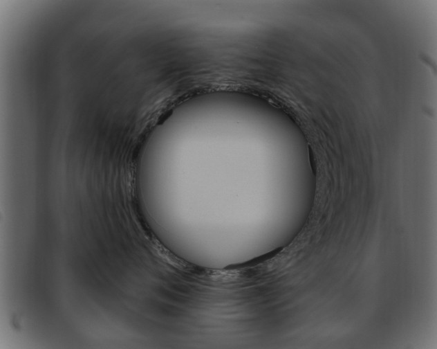 X0000093620720200710151040
