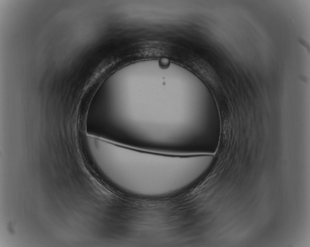 X0000093620722200710151040