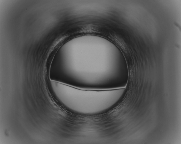 X0000093620724200710151040