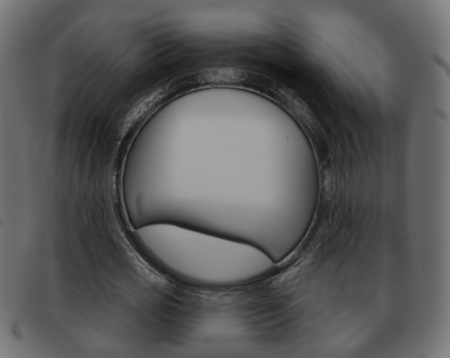 X0000093620725200710151040