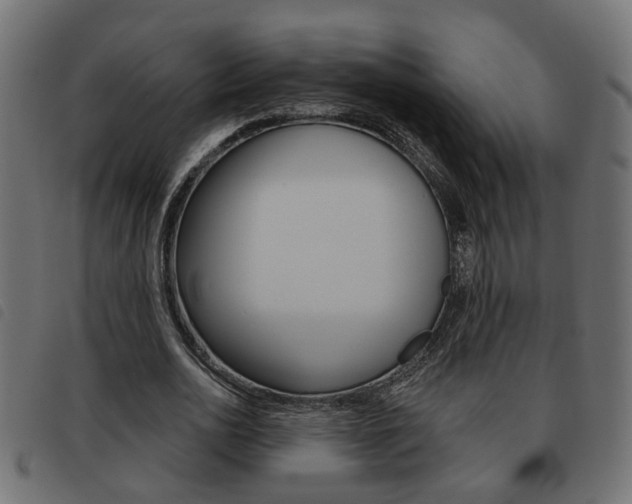 X0000093620726200710151040