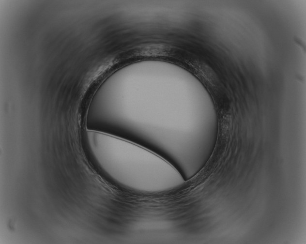 X0000093620727200710151040