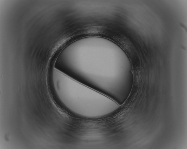 X0000093620728200710151040