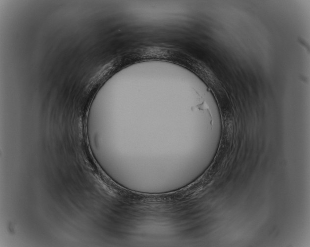 X0000093620729200710151040