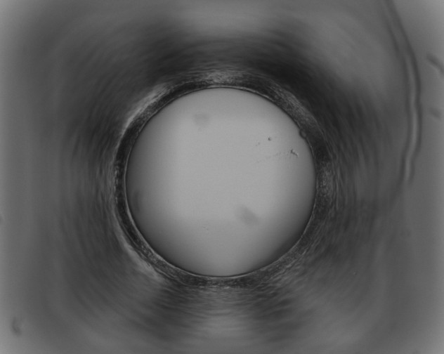 X0000093620730200710151040