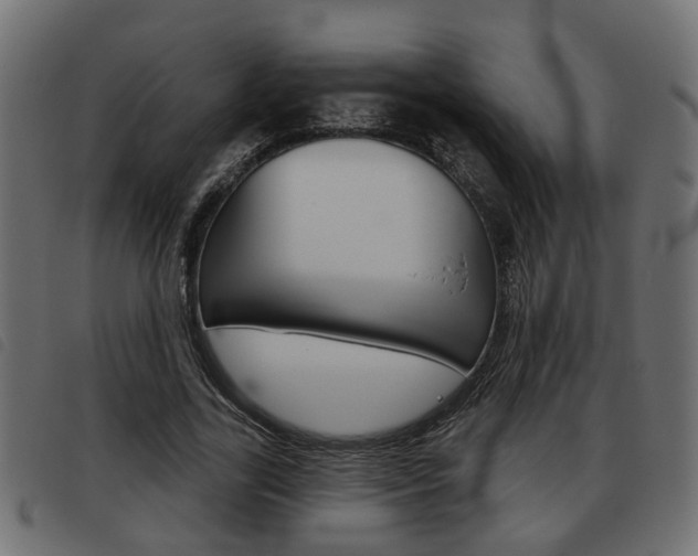 X0000093620731200710151040