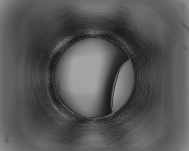X0000093620732200710151040