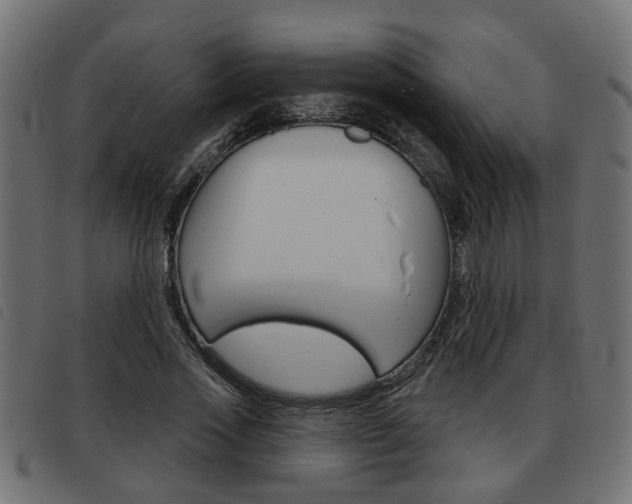 X0000093620733200710151040