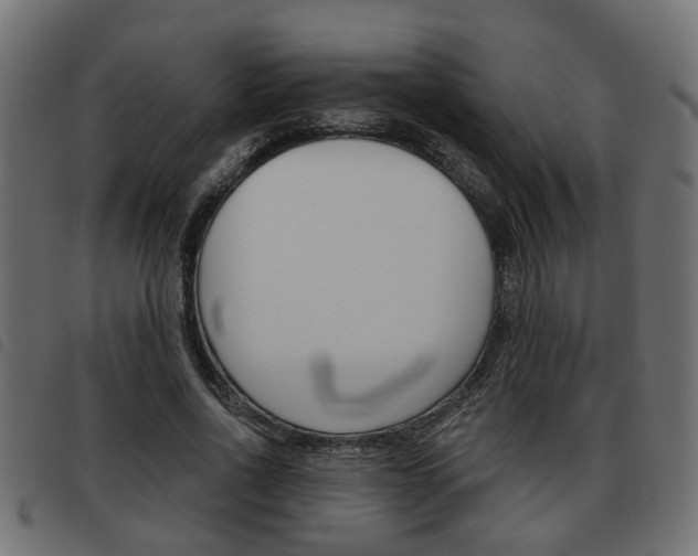 X0000093620734200710151040