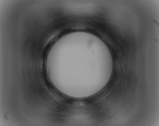 X0000093620735200710151040