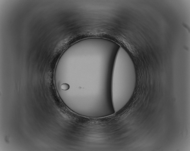 X0000093620736200710151040