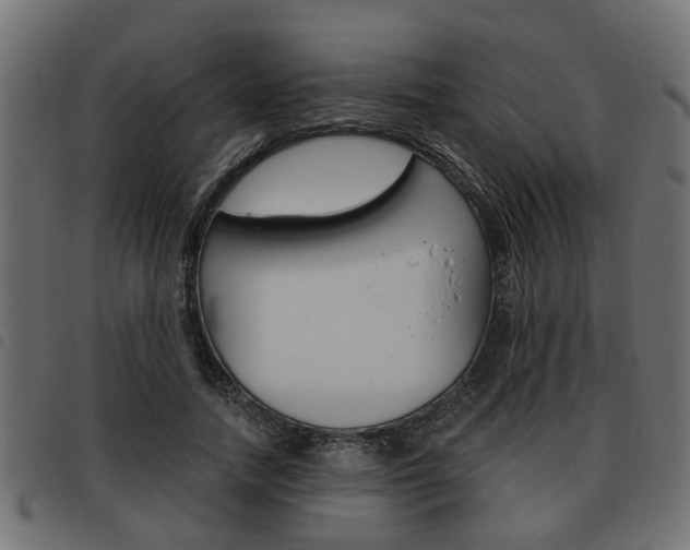 X0000093620738200710151040
