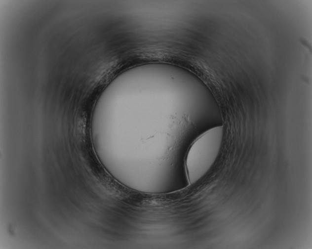 X0000093620739200710151040