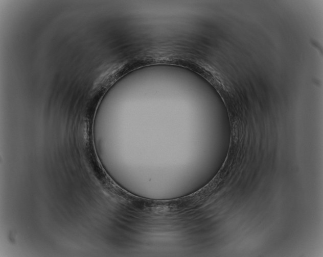 X0000093620740200710151040