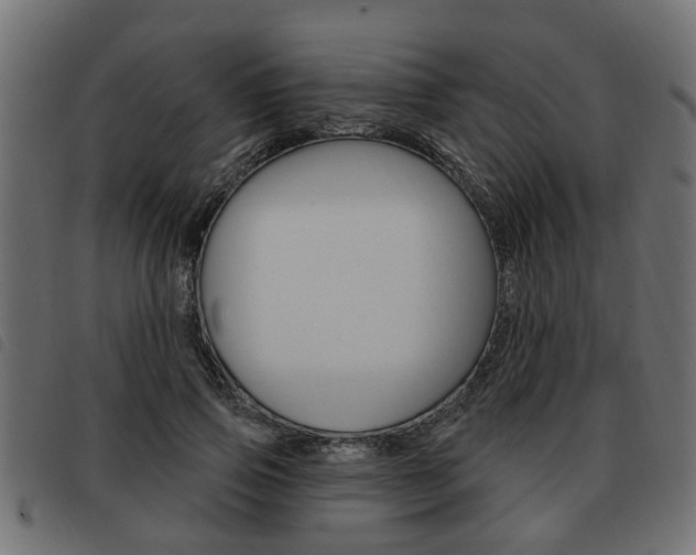 X0000093620741200710151040