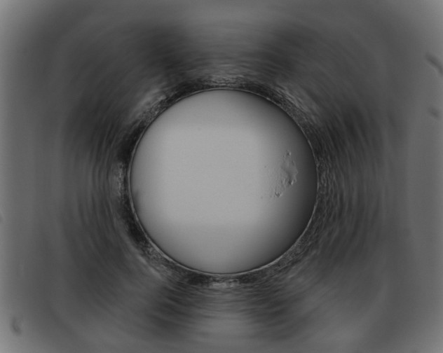 X0000093620744200710151040