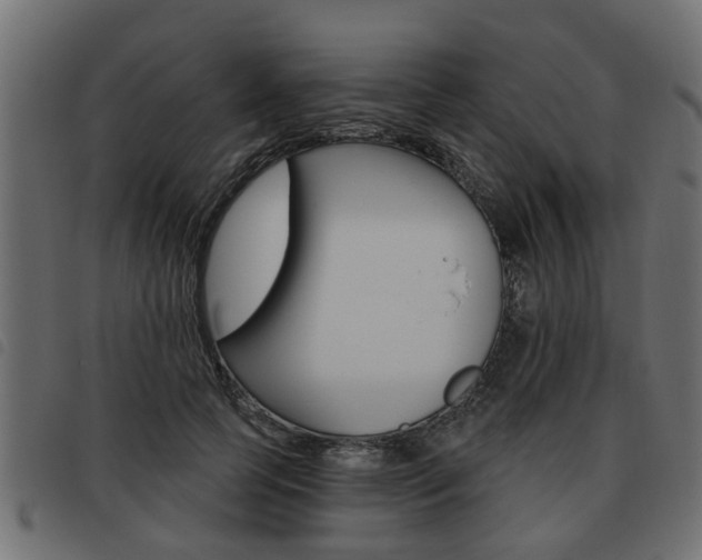 X0000093620745200710151040