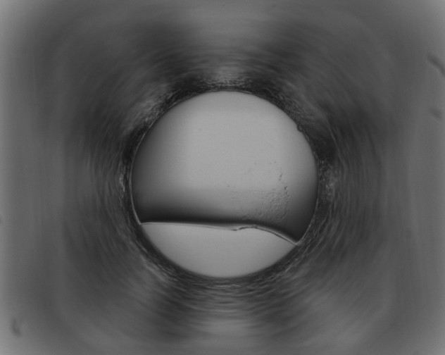 X0000093620746200710151040
