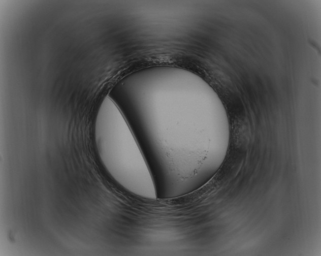 X0000093620747200710151040