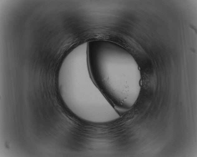 X0000093620748200710151040